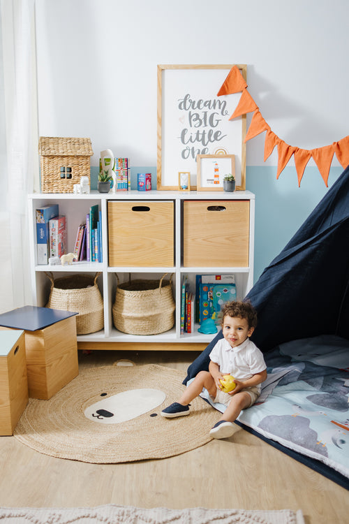 6 Cubby Storage Unit