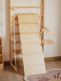 Climbing & Sliding Board (Add-On)